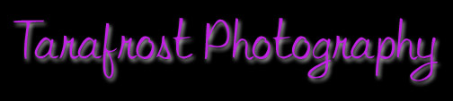 Tarafrost Photography