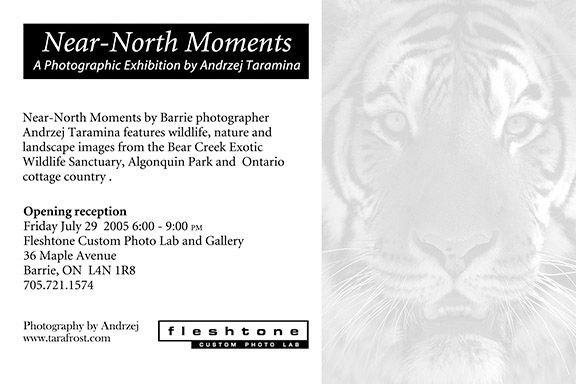 Near-North Moments Invite - Back